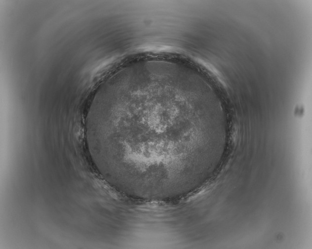 X0000091930966200709051458