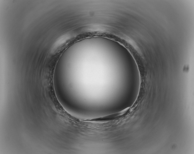 X0000091930967200709051458