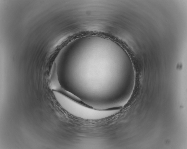 X0000091930968200709051458