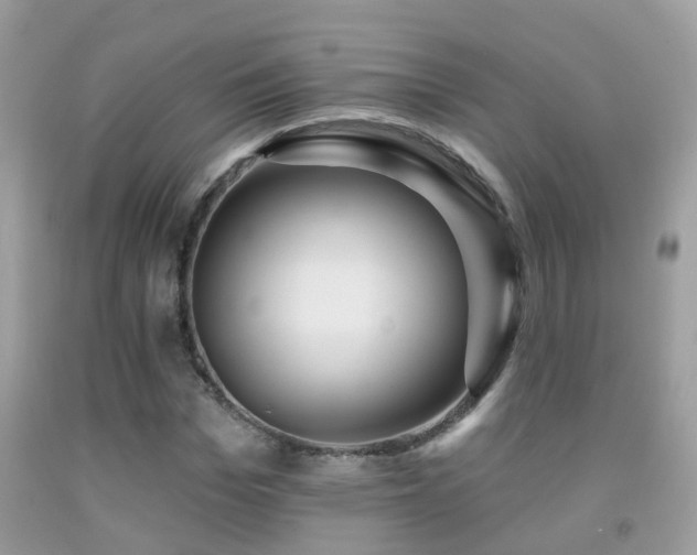 X0000091930969200709051458