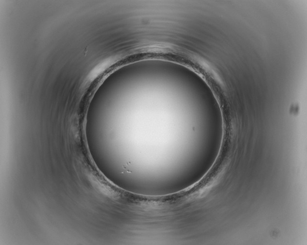 X0000091930970200709051458