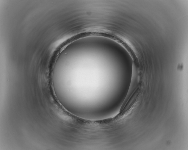 X0000091930971200709051458