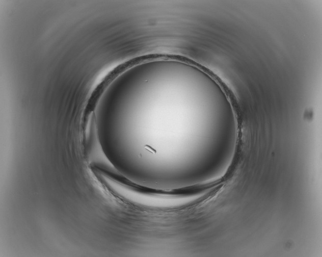 X0000091930972200709051458