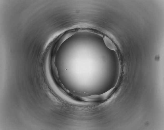 X0000091930973200709051458