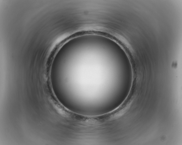 X0000091930974200709051458