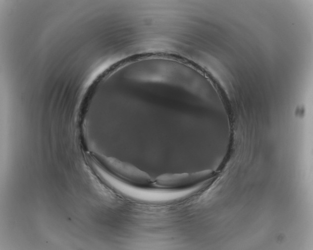 X0000091930975200709051458