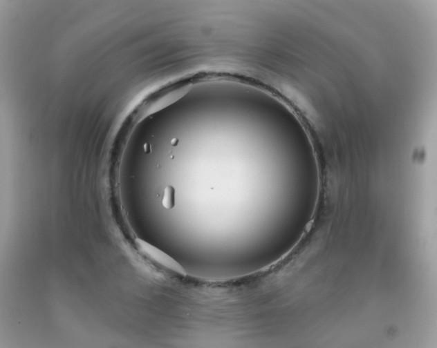 X0000091930976200709051458