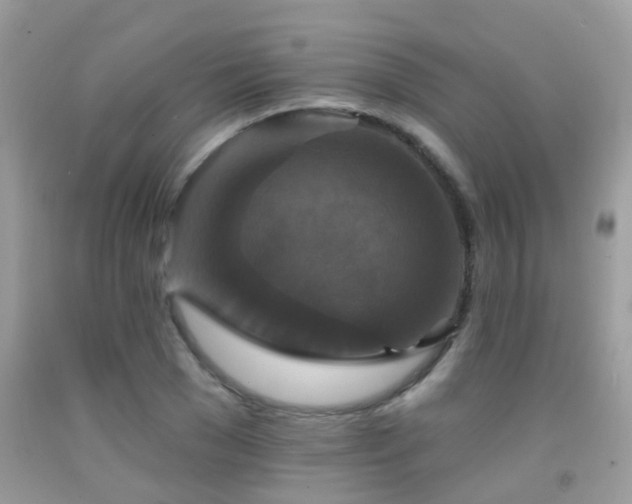 X0000091930977200709051458