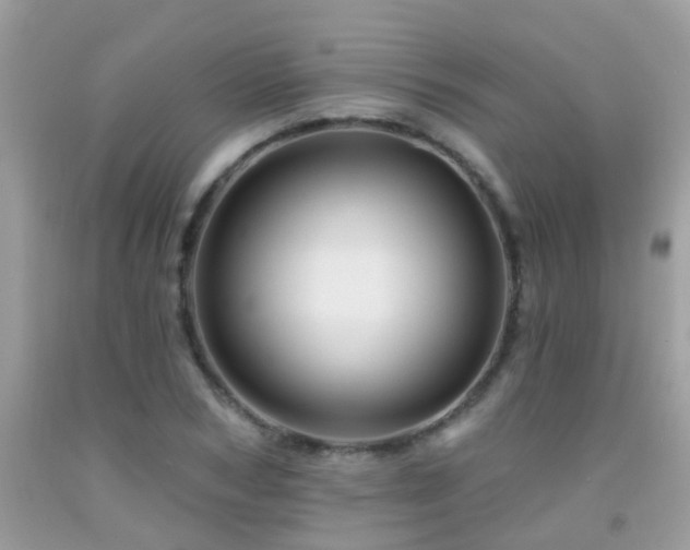 X0000091930978200709051458