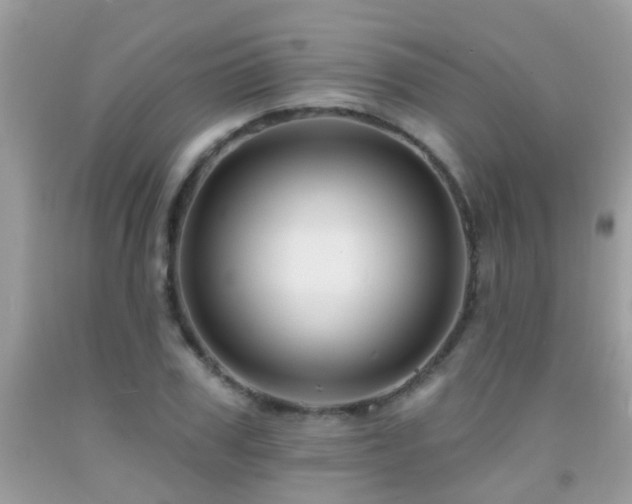 X0000091930979200709051458