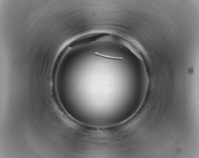 X0000091930980200709051458