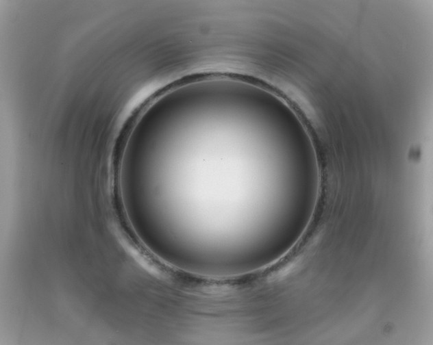 X0000091930982200709051458