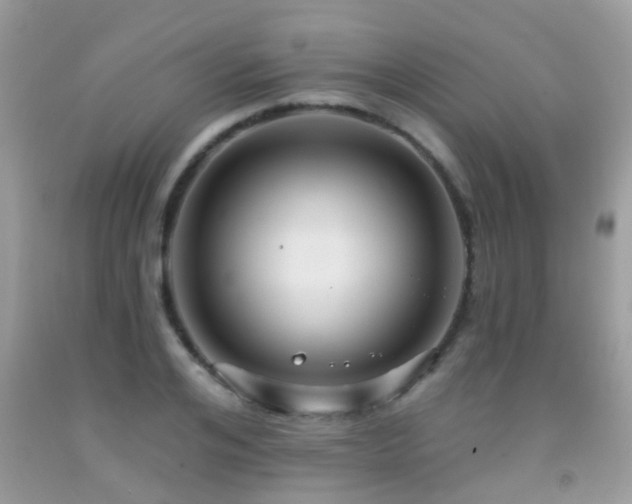 X0000091930984200709051458