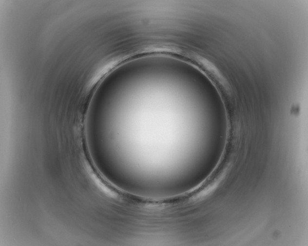 X0000091930985200709051458