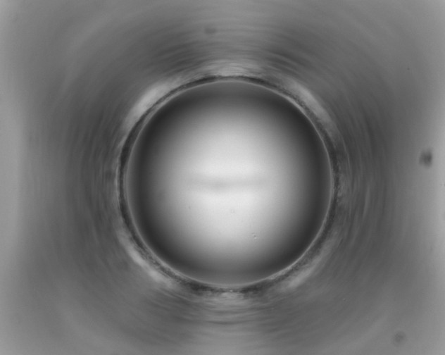 X0000091930986200709051458