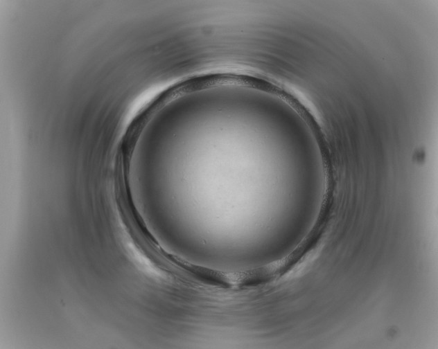 X0000091930987200709051458