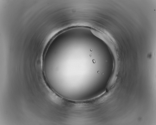 X0000091930988200709051458