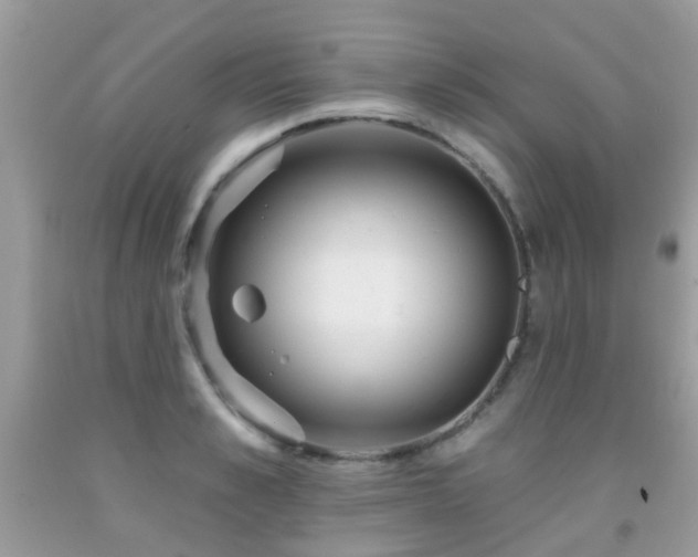 X0000091930989200709051458
