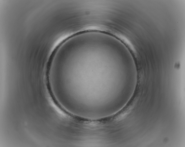 X0000091930991200709051458