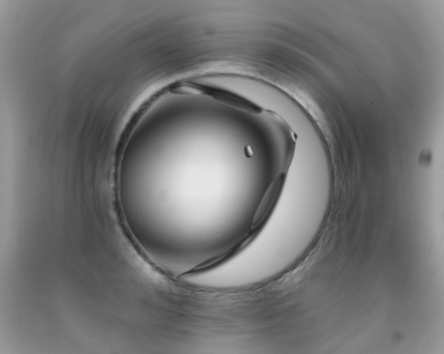 X0000091930992200709051458