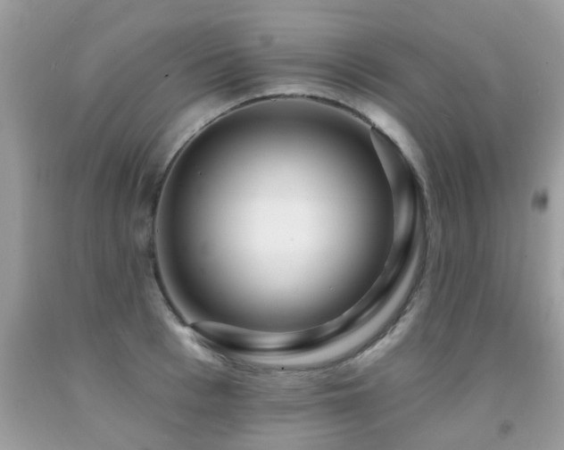 X0000091930993200709051458