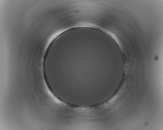 X0000091930995200709051458