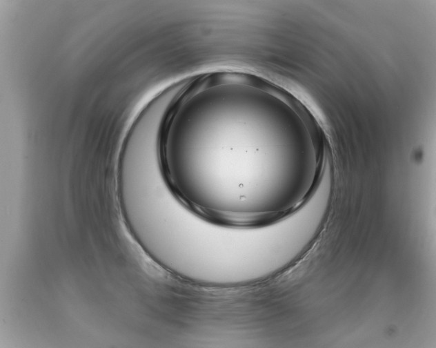 X0000091930996200709051458