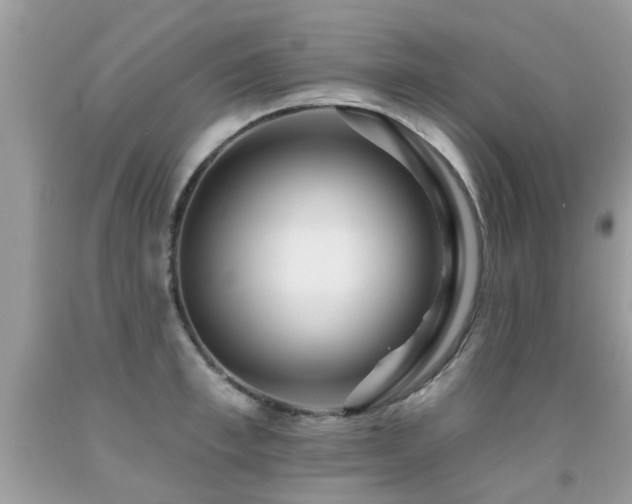 X0000091930997200709051458