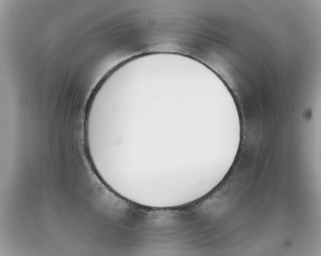 X0000091931000200709051458