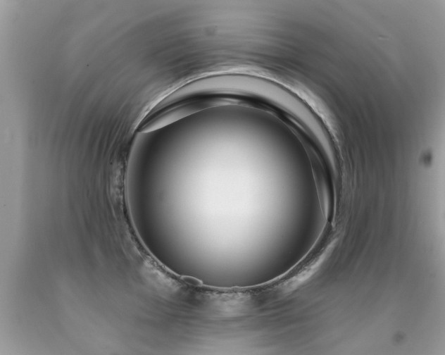 X0000091931001200709051458