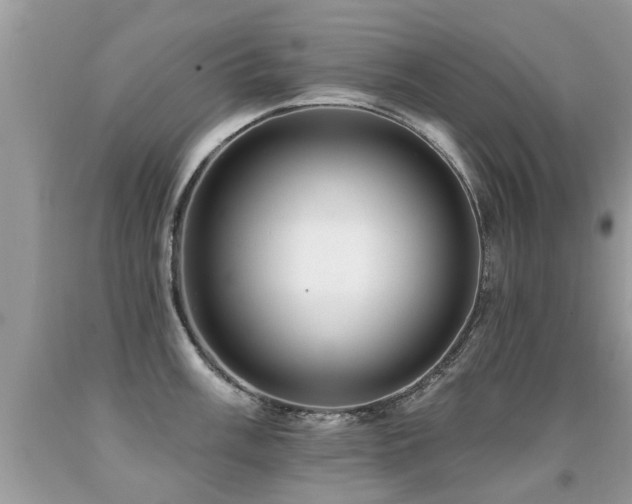 X0000091931003200709051458
