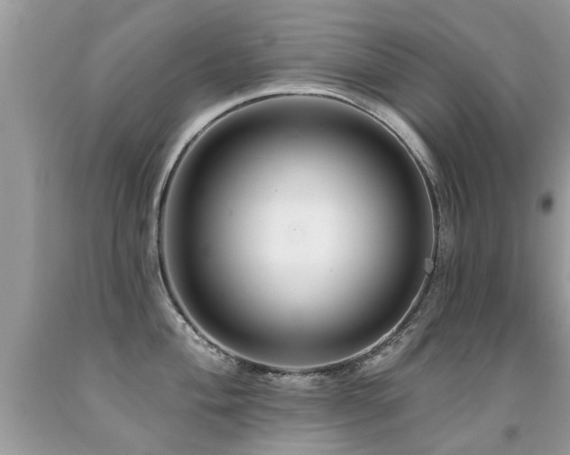 X0000091931004200709051457