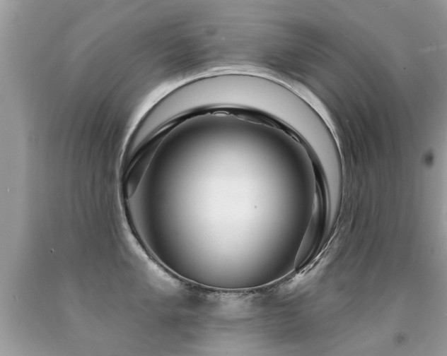 X0000091931005200709051457