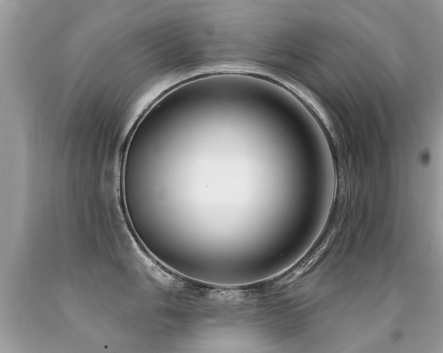 X0000091931006200709051457
