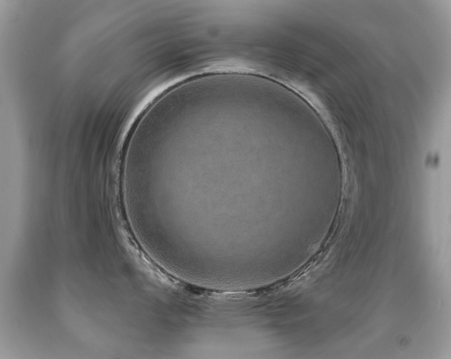 X0000091931008200709051457