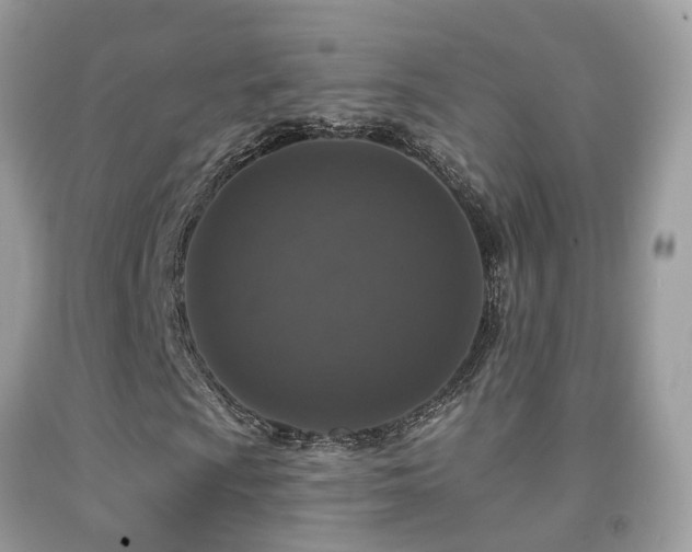 X0000091931009200709051457