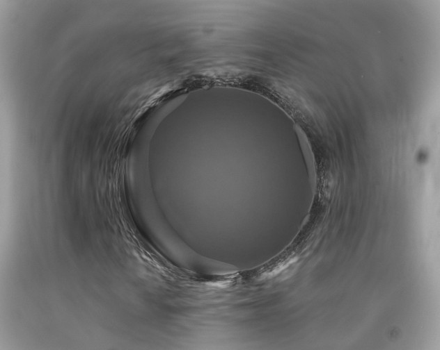 X0000091931010200709051457