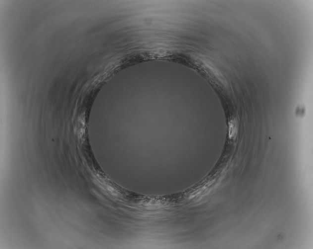 X0000091931011200709051457
