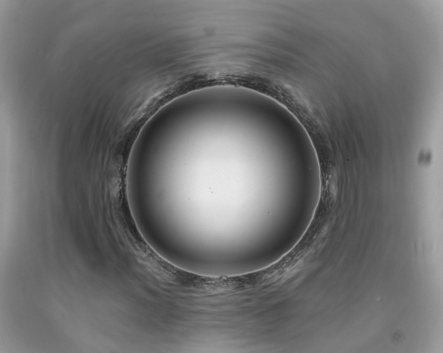 X0000091931012200709051457