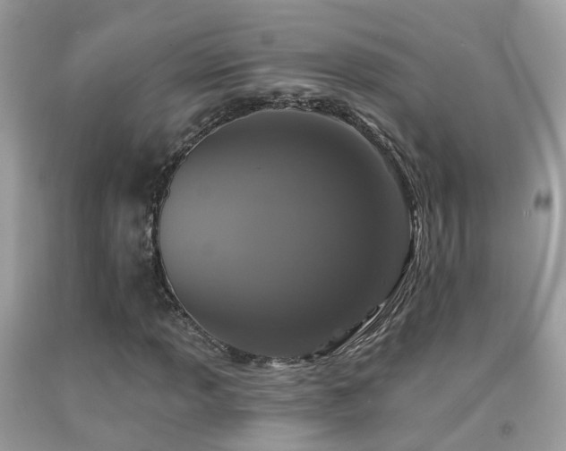 X0000091931013200709051457