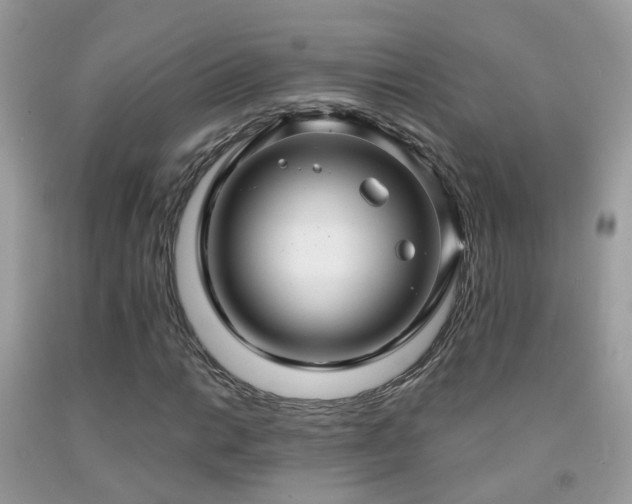 X0000091931014200709051457