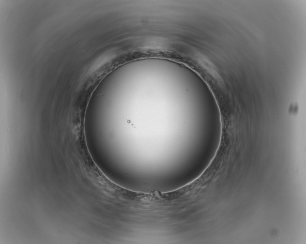 X0000091931015200709051457
