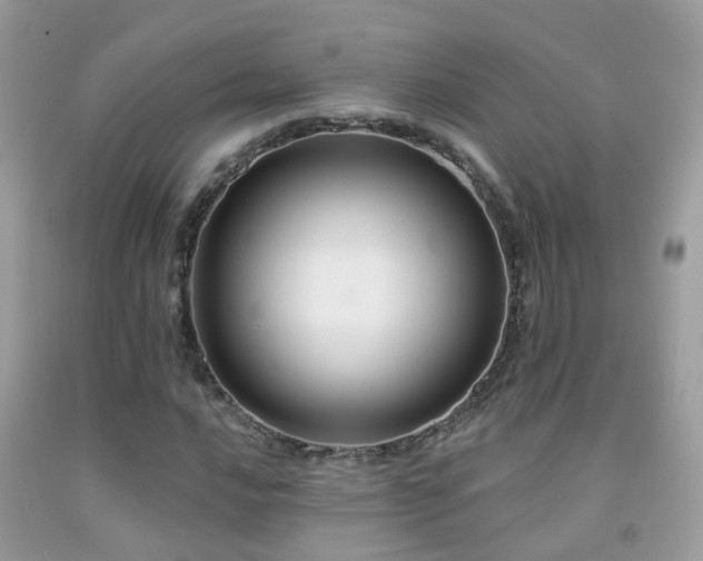 X0000091931016200709051457
