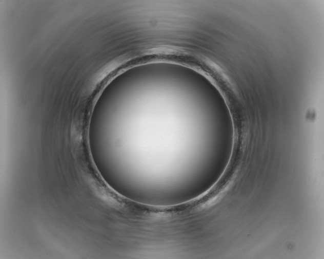 X0000091931017200709051457