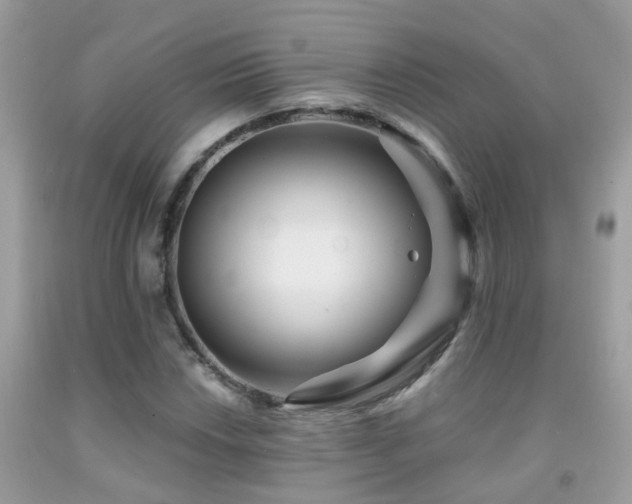 X0000091931018200709051457