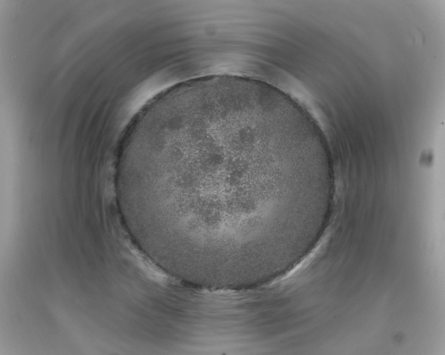X0000091931019200709051457