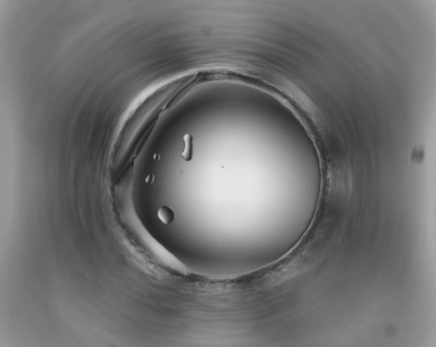 X0000091931020200709051457