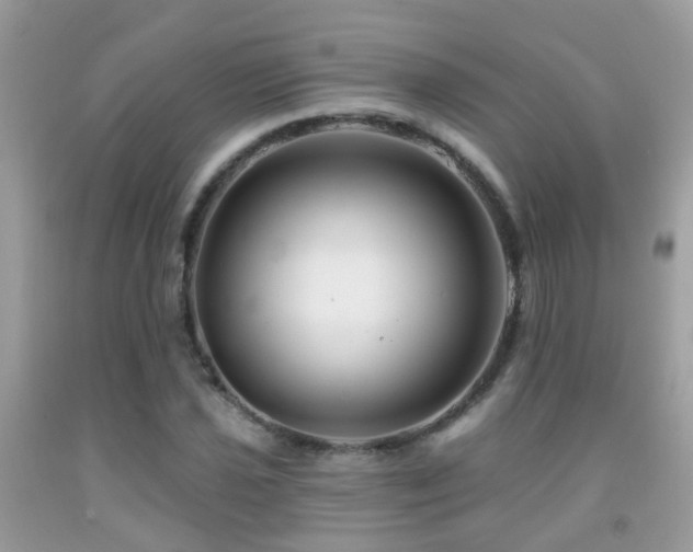 X0000091931021200709051457