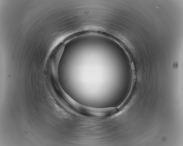 X0000091931022200709051457