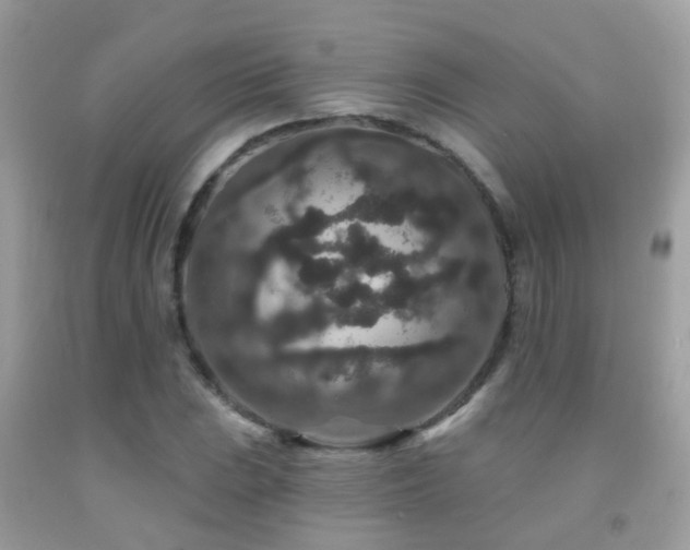 X0000091931023200709051457
